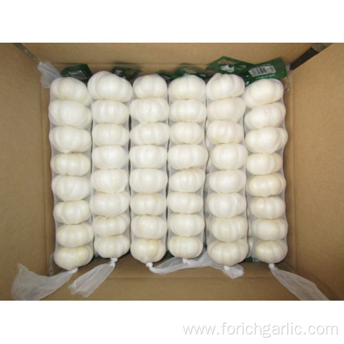 Fresh Pure White Garlic